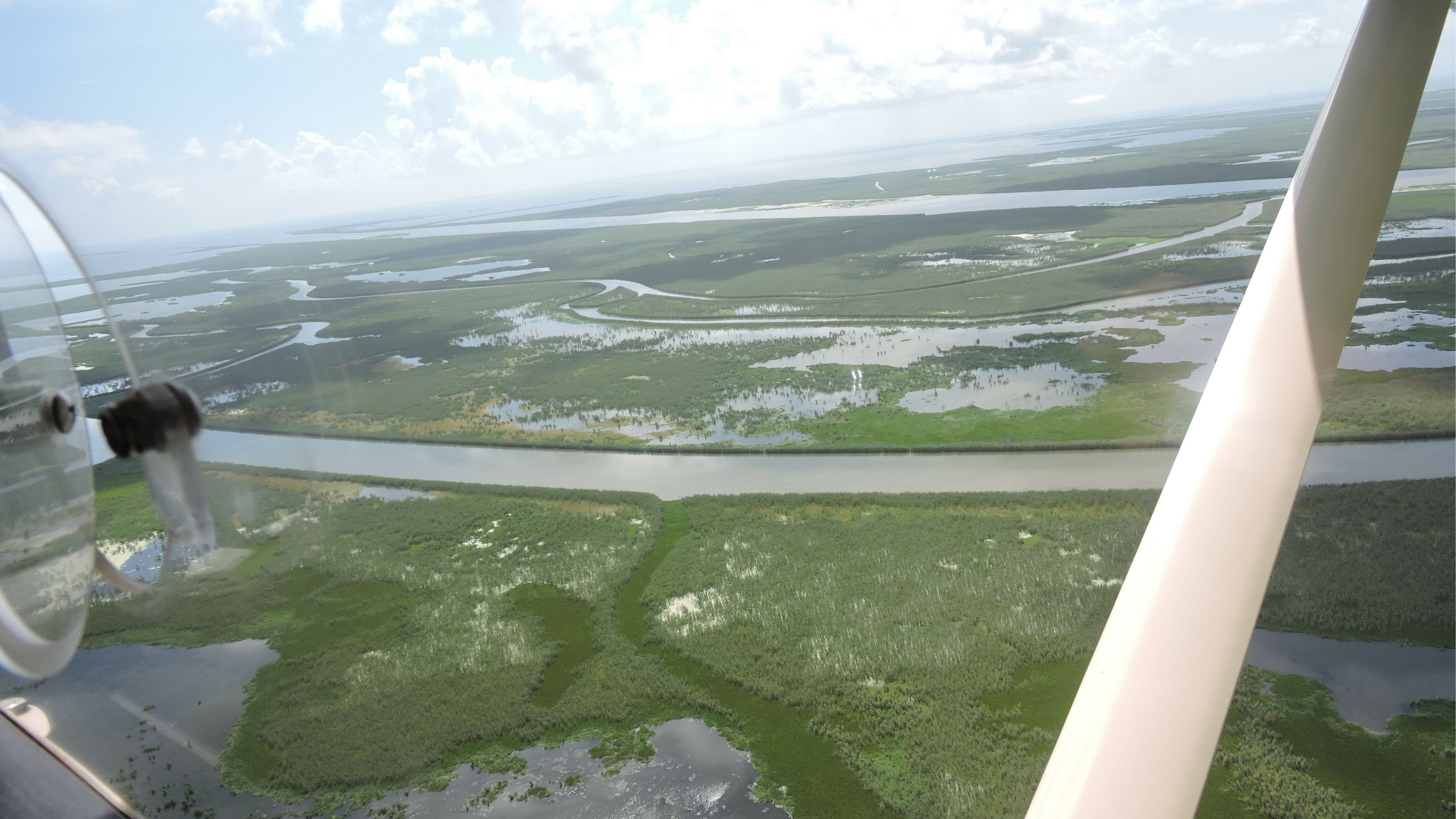 Aerial view.